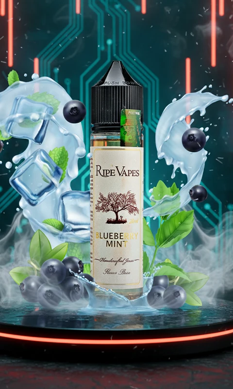 جویس رایپ ویپز بلوبری نعناع Blueberry Mint