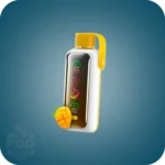 پاد یکبارمصرف ووزول 20000 پاف | VOZOL Star 20K Puffs