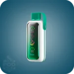 پاد یکبارمصرف ووزول 20000 پاف | VOZOL Star 20K Puffs