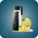 پاد یکبارمصرف ووزول 20000 پاف | VOZOL Star 20K Puffs