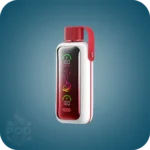 پاد یکبارمصرف ووزول 20000 پاف | VOZOL Star 20K Puffs